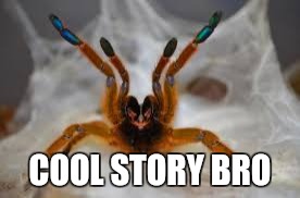 COOL STORY BRO | image tagged in spiders | made w/ Imgflip meme maker
