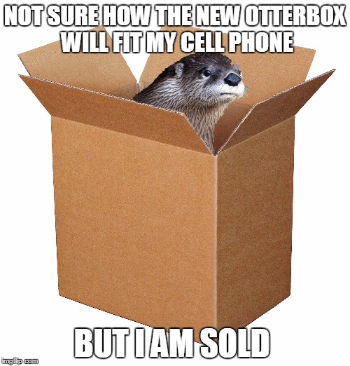 NOT SURE HOW THE NEW OTTERBOX WILL FIT MY CELL PHONE; BUT I AM SOLD | image tagged in otter,cell phone | made w/ Imgflip meme maker