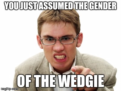 Angry Liberal | YOU JUST ASSUMED THE GENDER OF THE WEDGIE | image tagged in angry liberal | made w/ Imgflip meme maker