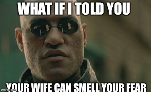 Matrix Morpheus | WHAT IF I TOLD YOU; YOUR WIFE CAN SMELL YOUR FEAR | image tagged in memes,matrix morpheus | made w/ Imgflip meme maker