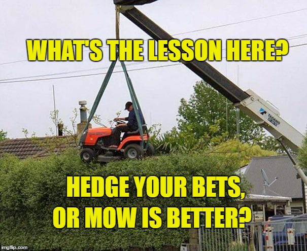 mowing a hedge | WHAT'S THE LESSON HERE? HEDGE YOUR BETS, OR MOW IS BETTER? | image tagged in mowing a hedge | made w/ Imgflip meme maker