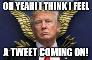 Red-state Bullcrap gives him wings! | OH YEAH! I THINK I FEEL; A TWEET COMING ON! | image tagged in winged wonder | made w/ Imgflip meme maker
