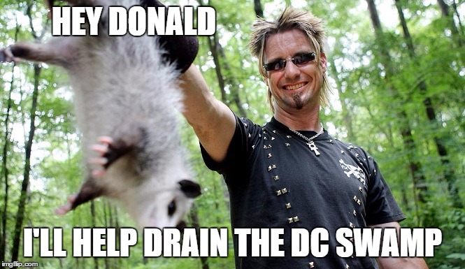 HEY DONALD; I'LL HELP DRAIN THE DC SWAMP | image tagged in swamp | made w/ Imgflip meme maker