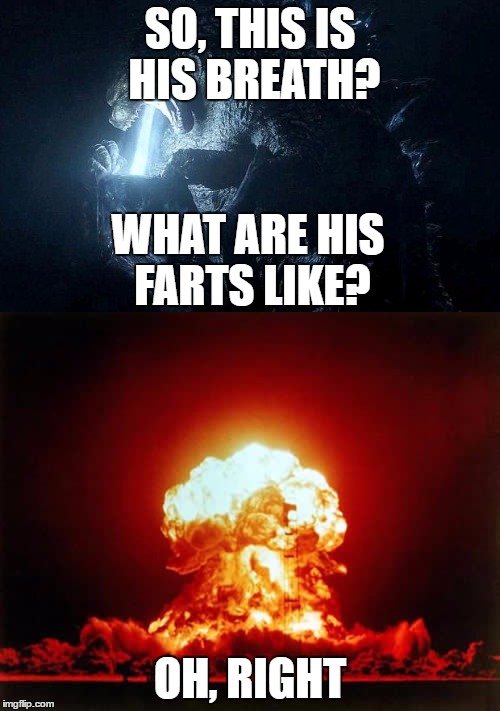 SO, THIS IS HIS BREATH? WHAT ARE HIS FARTS LIKE? OH, RIGHT | image tagged in godzilla | made w/ Imgflip meme maker