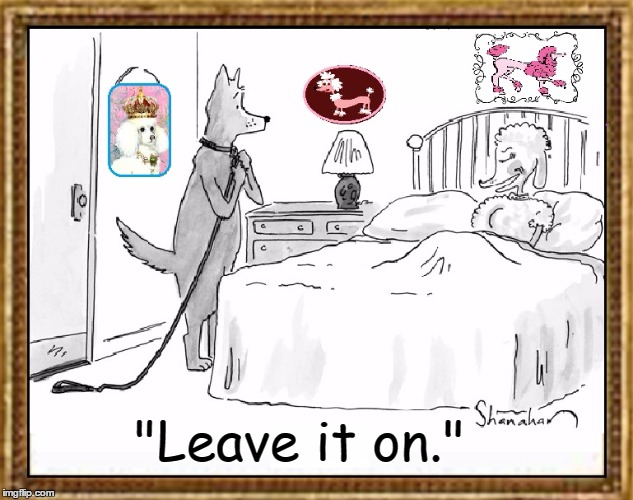 Time to Show a Little Restraint | "Leave it on." | image tagged in vince vance,poodles,pink poodle,dogs,dog memes,new yorker cartoon | made w/ Imgflip meme maker