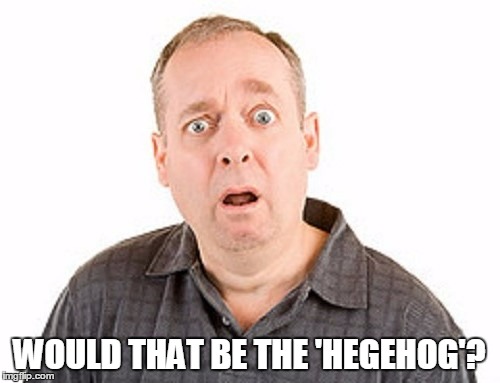 WOULD THAT BE THE 'HEGEHOG'? | made w/ Imgflip meme maker