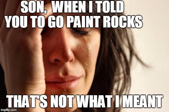 First World Problems Meme | SON,  WHEN I TOLD YOU TO GO PAINT ROCKS THAT'S NOT WHAT I MEANT | image tagged in memes,first world problems | made w/ Imgflip meme maker