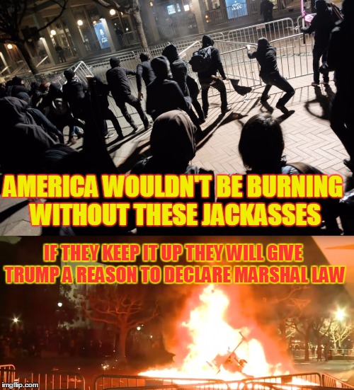 AMERICA WOULDN'T BE BURNING WITHOUT THESE JACKASSES IF THEY KEEP IT UP THEY WILL GIVE TRUMP A REASON TO DECLARE MARSHAL LAW | made w/ Imgflip meme maker