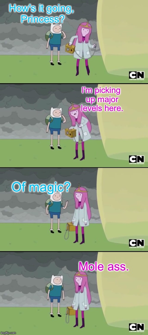 Meme comments | How's it going, Princess? I'm picking up major levels here. Of magic? Mole ass. | image tagged in adventure time,moles,meme comments | made w/ Imgflip meme maker