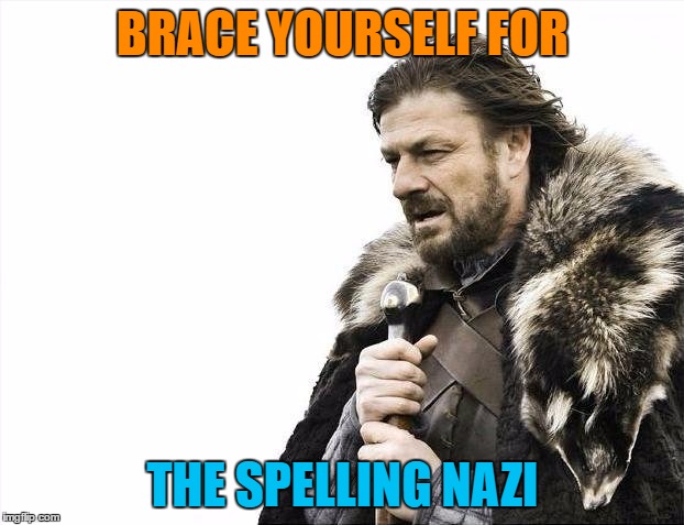 Brace Yourselves X is Coming Meme | BRACE YOURSELF FOR THE SPELLING NAZI | image tagged in memes,brace yourselves x is coming | made w/ Imgflip meme maker