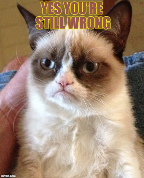 Grumpy Cat Meme | YES YOU'RE STILL WRONG | image tagged in memes,grumpy cat | made w/ Imgflip meme maker