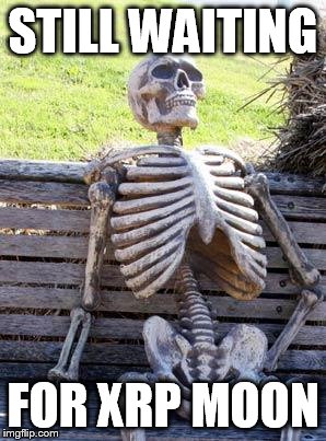 Waiting Skeleton Meme | STILL WAITING; FOR XRP MOON | image tagged in memes,waiting skeleton | made w/ Imgflip meme maker