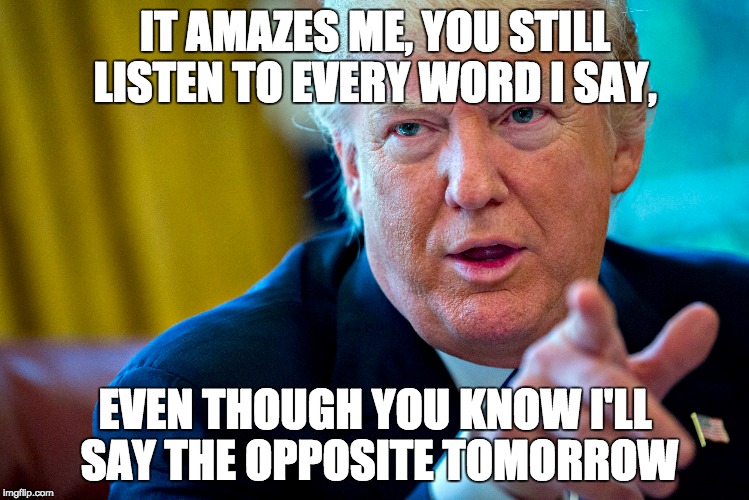 Meme words