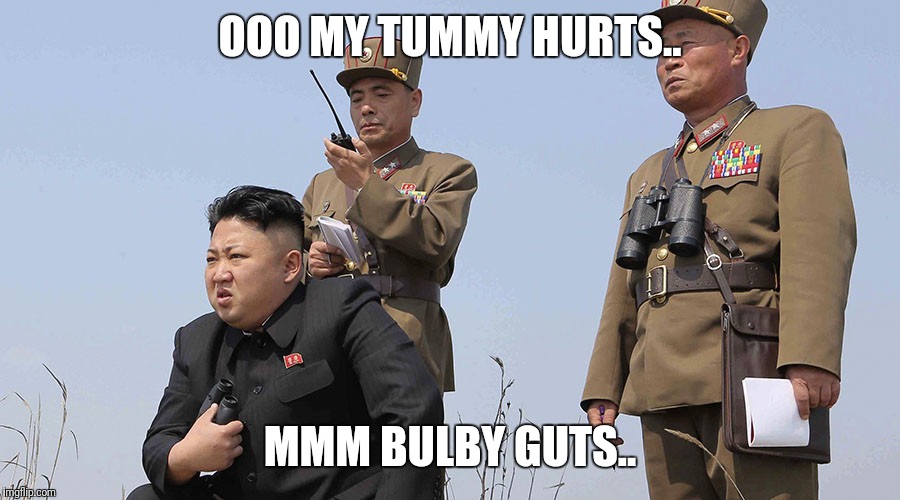 North Korea  | OOO MY TUMMY HURTS.. MMM BULBY GUTS.. | image tagged in north korea | made w/ Imgflip meme maker