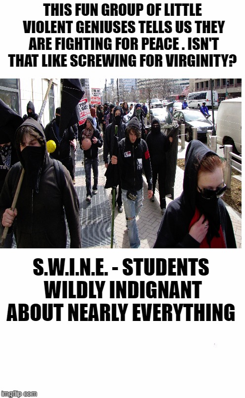 ANTIFA: The Modern Day SWINE | THIS FUN GROUP OF LITTLE VIOLENT GENIUSES TELLS US THEY ARE FIGHTING FOR PEACE . ISN'T THAT LIKE SCREWING FOR VIRGINITY? S.W.I.N.E. - STUDENTS WILDLY INDIGNANT ABOUT NEARLY EVERYTHING | image tagged in antifa,swine,snowflakes | made w/ Imgflip meme maker