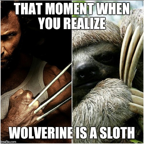 Wolverine is a Sloth | image tagged in wolverine,logan,sloth,marvel,hugh jackman | made w/ Imgflip meme maker