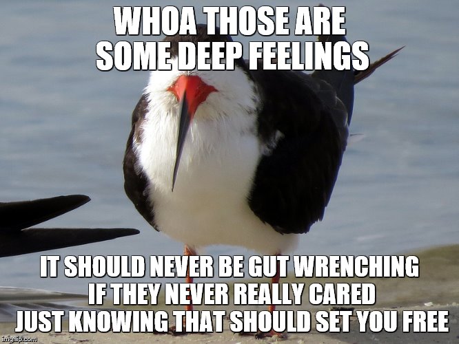 Even Less Popular Opinion Bird | WHOA THOSE ARE SOME DEEP FEELINGS IT SHOULD NEVER BE GUT WRENCHING IF THEY NEVER REALLY CARED JUST KNOWING THAT SHOULD SET YOU FREE | image tagged in even less popular opinion bird | made w/ Imgflip meme maker
