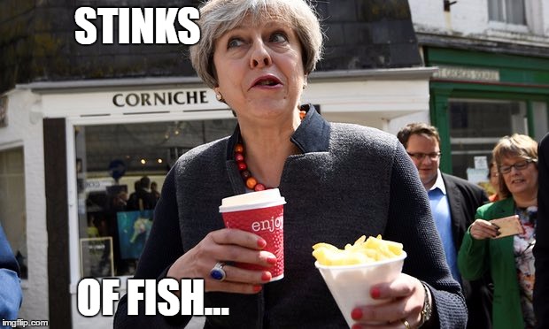 STINKS; OF FISH... | image tagged in theresa may | made w/ Imgflip meme maker