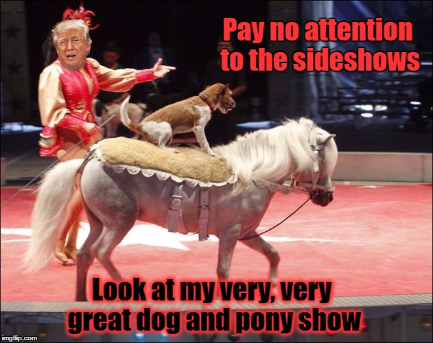 Trump Circus Dog and Pony Show | Pay no attention to the sideshows; Look at my very, very great dog and pony show | image tagged in trump,distraction,circus,fool | made w/ Imgflip meme maker