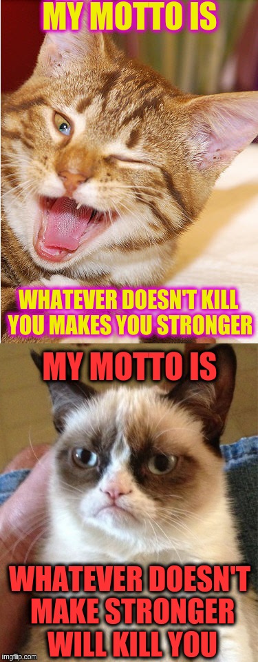 Good Cat, Bad Cat | MY MOTTO IS; WHATEVER DOESN'T KILL YOU MAKES YOU STRONGER; MY MOTTO IS; WHATEVER DOESN'T MAKE STRONGER WILL KILL YOU | image tagged in memes | made w/ Imgflip meme maker