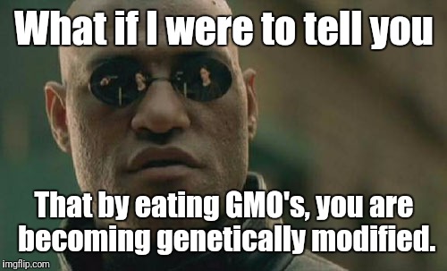 Matrix Morpheus Meme | What if I were to tell you That by eating GMO's, you are becoming genetically modified. | image tagged in memes,matrix morpheus | made w/ Imgflip meme maker