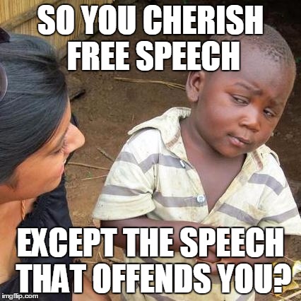Liberal Logic On Speech | SO YOU CHERISH FREE SPEECH; EXCEPT THE SPEECH THAT OFFENDS YOU? | image tagged in memes,third world skeptical kid | made w/ Imgflip meme maker