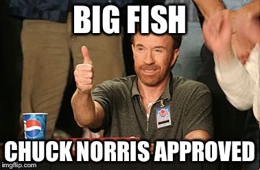 BIG FISH CHUCK NORRIS APPROVED | made w/ Imgflip meme maker