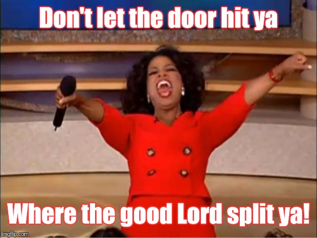 Oprah You Get A Meme | Don't let the door hit ya Where the good Lord split ya! | image tagged in memes,oprah you get a | made w/ Imgflip meme maker