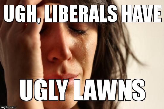 First World Problems | UGH, LIBERALS HAVE; UGLY LAWNS | image tagged in memes,first world problems | made w/ Imgflip meme maker