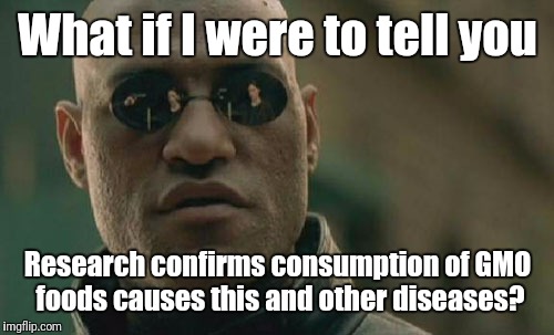 Matrix Morpheus Meme | What if I were to tell you Research confirms consumption of GMO foods causes this and other diseases? | image tagged in memes,matrix morpheus | made w/ Imgflip meme maker