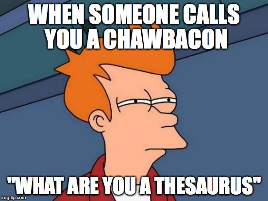 Futurama Fry | WHEN SOMEONE CALLS YOU A CHAWBACON; "WHAT ARE YOU A THESAURUS" | image tagged in memes,futurama fry | made w/ Imgflip meme maker