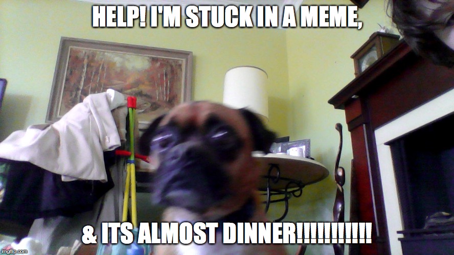 Doc | HELP! I'M STUCK IN A MEME, & ITS ALMOST DINNER!!!!!!!!!!! | image tagged in doc | made w/ Imgflip meme maker
