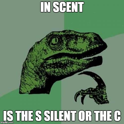 Philosoraptor | IN SCENT; IS THE S SILENT OR THE C | image tagged in memes,philosoraptor | made w/ Imgflip meme maker