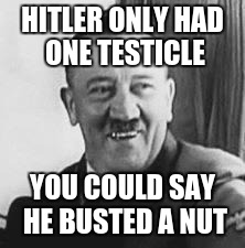 Bad Joke Hitler | HITLER ONLY HAD ONE TESTICLE; YOU COULD SAY HE BUSTED A NUT | image tagged in bad joke hitler | made w/ Imgflip meme maker