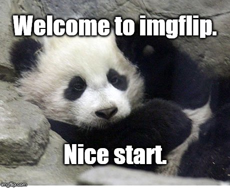 bao-bao bye-bye | Welcome to imgflip. Nice start. | image tagged in bao-bao bye-bye | made w/ Imgflip meme maker