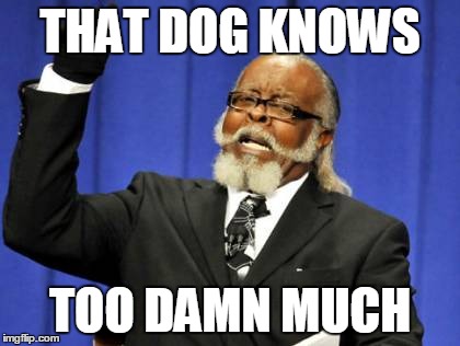 Too Damn High Meme | THAT DOG KNOWS TOO DAMN MUCH | image tagged in memes,too damn high | made w/ Imgflip meme maker