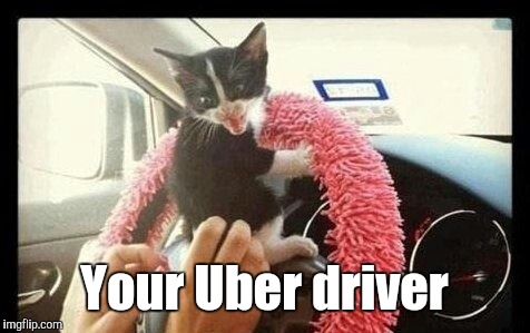 Your Uber driver | made w/ Imgflip meme maker