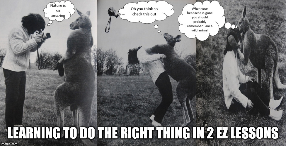 LEARNING TO DO THE RIGHT THING IN 2 EZ LESSONS | image tagged in enjoying the wild life | made w/ Imgflip meme maker