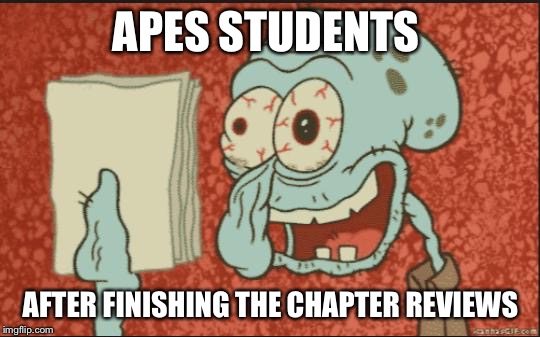 squidward |  APES STUDENTS; AFTER FINISHING THE CHAPTER REVIEWS | image tagged in squidward | made w/ Imgflip meme maker