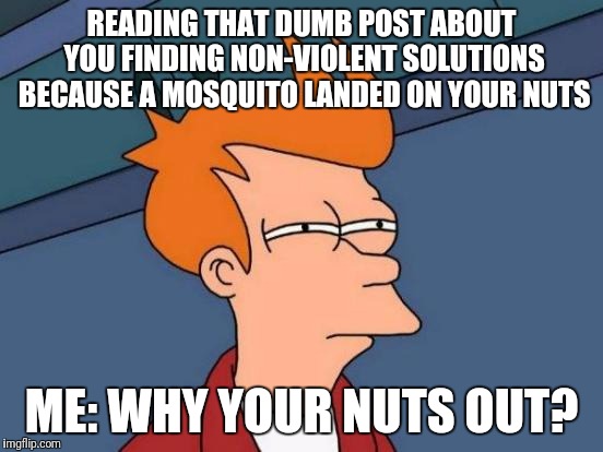 Futurama Fry Meme | READING THAT DUMB POST ABOUT YOU FINDING NON-VIOLENT SOLUTIONS BECAUSE A MOSQUITO LANDED ON YOUR NUTS; ME: WHY YOUR NUTS OUT? | image tagged in memes,futurama fry | made w/ Imgflip meme maker