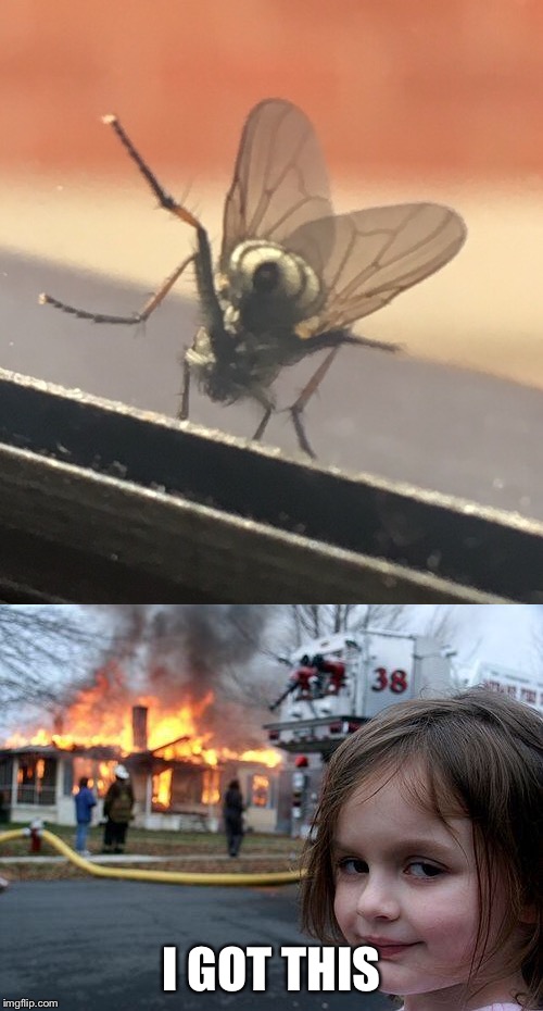 EWWWW! | I GOT THIS | image tagged in memes,disaster girl,fly on the window,flies | made w/ Imgflip meme maker
