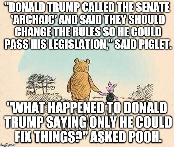 Pooh and Piglet | "DONALD TRUMP CALLED THE SENATE 'ARCHAIC' AND SAID THEY SHOULD CHANGE THE RULES SO HE COULD PASS HIS LEGISLATION," SAID PIGLET. "WHAT HAPPENED TO DONALD TRUMP SAYING ONLY HE COULD FIX THINGS?" ASKED POOH. | image tagged in pooh and piglet | made w/ Imgflip meme maker