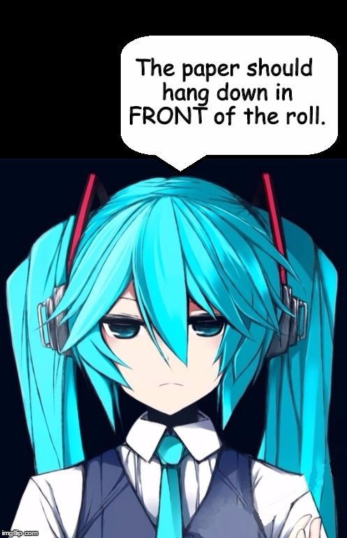 In FRONT of the roll | The paper should hang down in FRONT of the roll. | image tagged in toilet paper,miku,vocaloid,funny | made w/ Imgflip meme maker