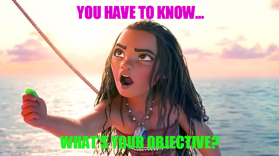 Angry Moana | YOU HAVE TO KNOW... WHAT'S YOUR OBJECTIVE? | image tagged in angry moana | made w/ Imgflip meme maker