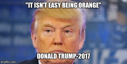 "IT ISN'T EASY BEING ORANGE"; DONALD TRUMP-2017 | image tagged in memes | made w/ Imgflip meme maker