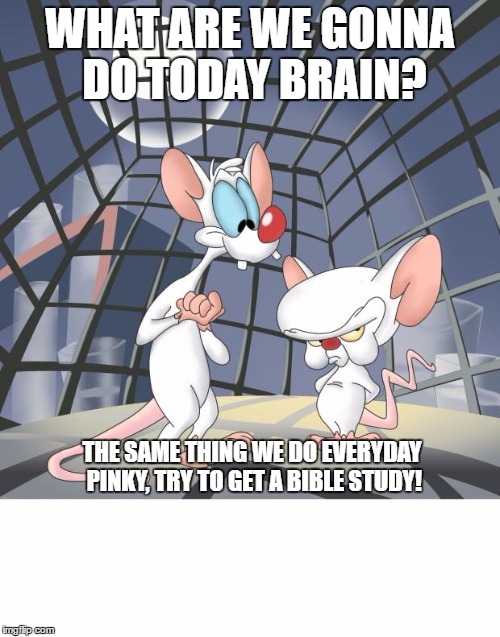 Pinky and the brain | WHAT ARE WE GONNA DO TODAY BRAIN? THE SAME THING WE DO EVERYDAY PINKY, TRY TO GET A BIBLE STUDY! | image tagged in pinky and the brain | made w/ Imgflip meme maker