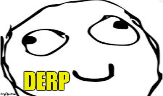 DERP | made w/ Imgflip meme maker