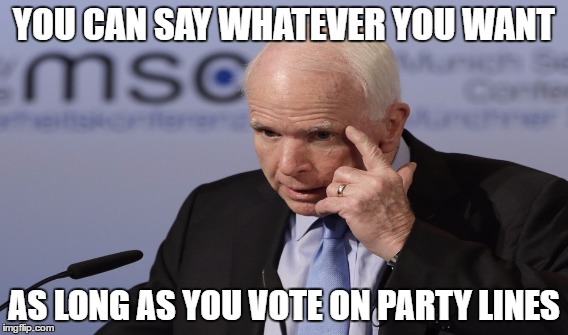 YOU CAN SAY WHATEVER YOU WANT; AS LONG AS YOU VOTE ON PARTY LINES | made w/ Imgflip meme maker