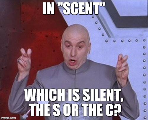 Dr Evil Laser Meme | IN "SCENT" WHICH IS SILENT, THE S OR THE C? | image tagged in memes,dr evil laser | made w/ Imgflip meme maker