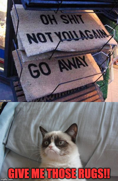 grumpy cat goes rug shopping | GIVE ME THOSE RUGS!! | image tagged in cat,carpet,no,dislike,disaster,unknown | made w/ Imgflip meme maker